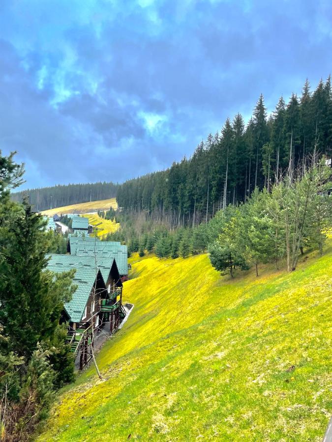 Nordian Chalet Next To Bukovel Ski Lift Exterior photo